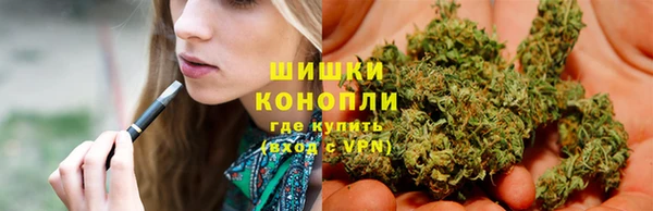 стафф Богородск