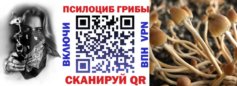 Псилоцибиновые грибы Psilocybine cubensis  Донской 